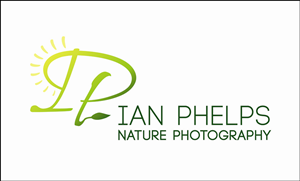 Logo Design by MeganAdamski for this project | Design: #1433778