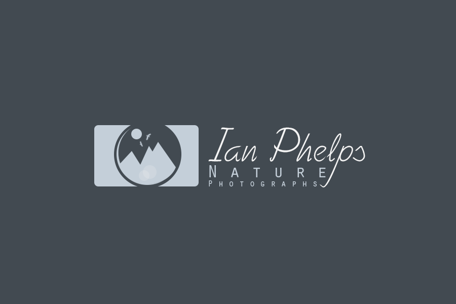 Logo-Design von Bilal X.D für dieses Projekt | Design #1437136