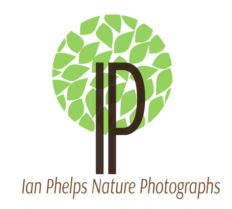 Logo Design by Nataly for this project | Design #1461986