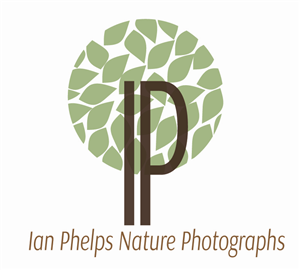 Logo-Design von Nataly für dieses Projekt | Design: #1461986