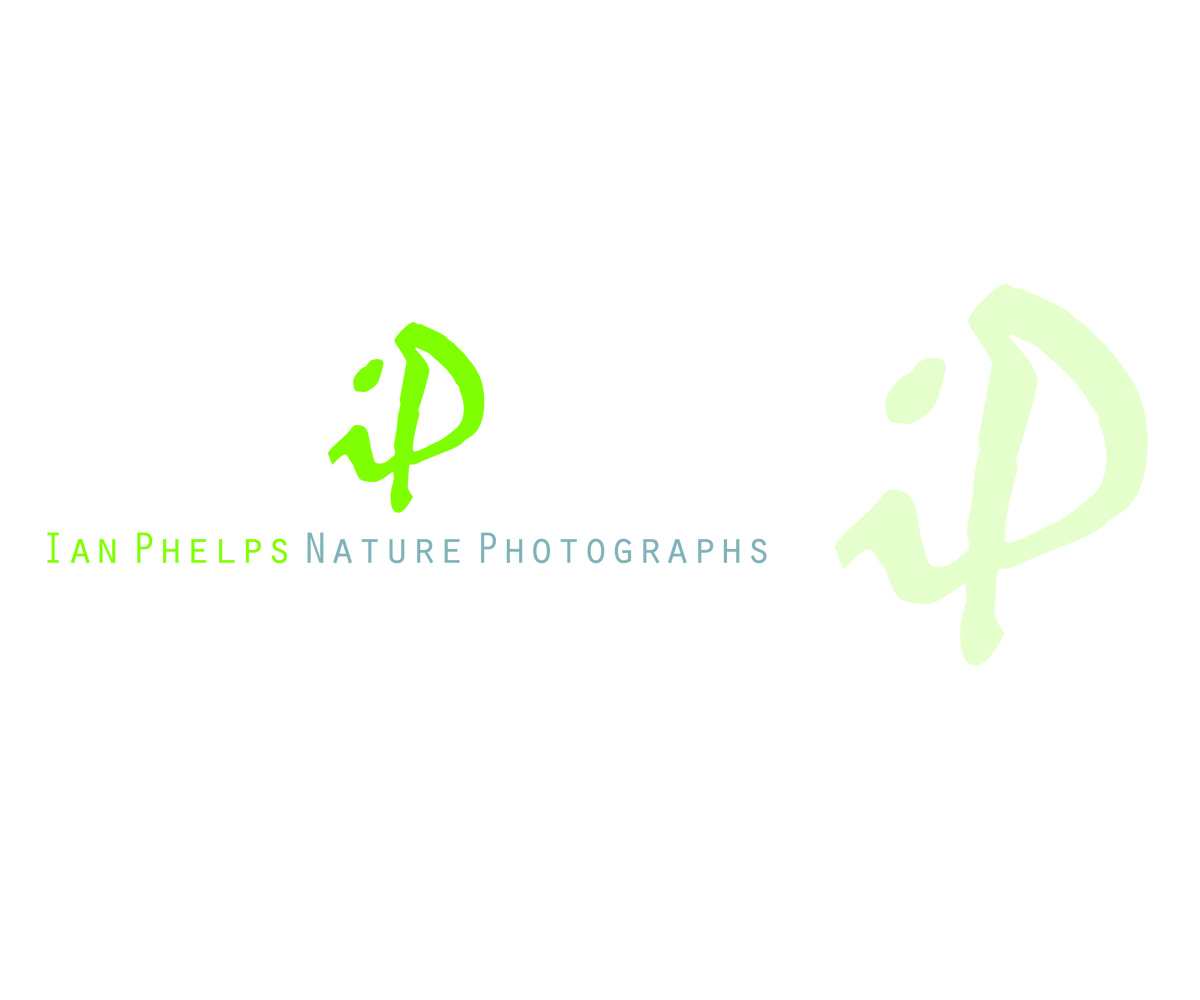 Logo Design by AD-X for this project | Design #1436053