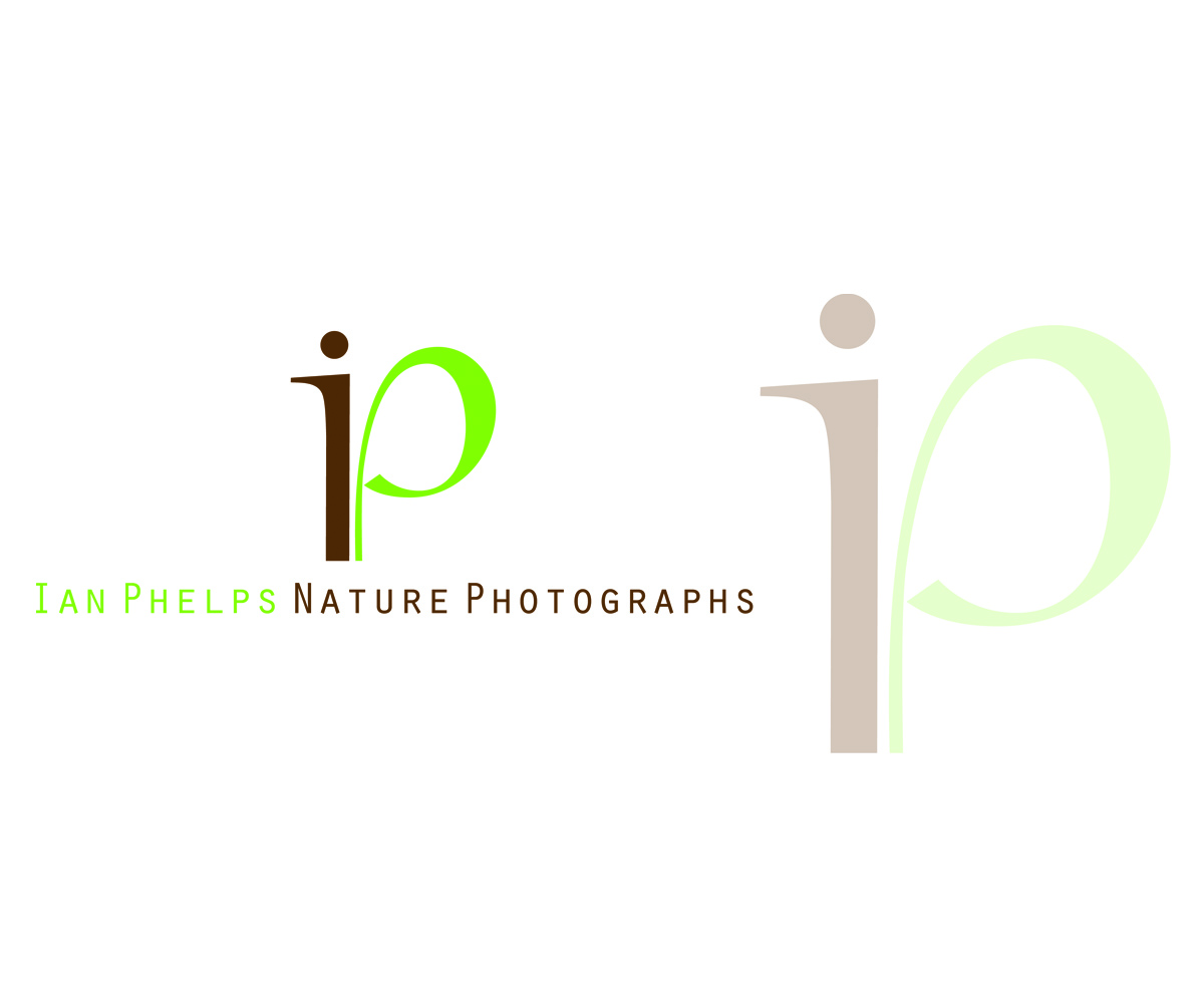 Logo Design by AD-X for this project | Design #1436058
