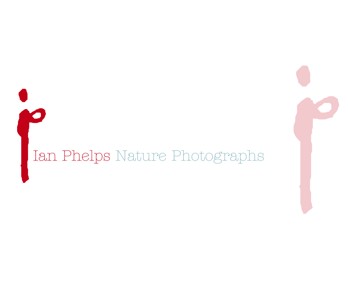 Logo-Design von AD-X für dieses Projekt | Design #1436062