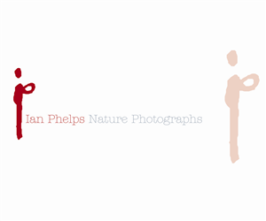 Design de Logo par AD-X pour ce projet | Design : #1436062