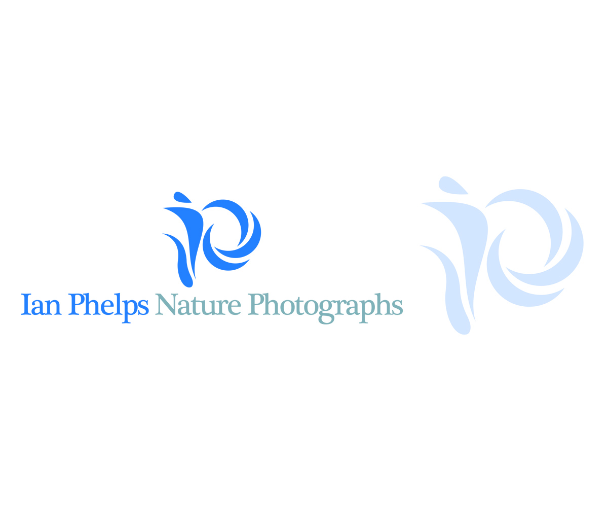Design de Logo par AD-X pour ce projet | Design #1444023