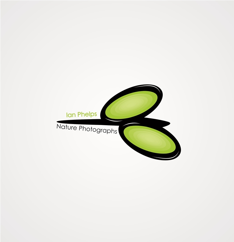 Logo Design by Despe for this project | Design #1437238