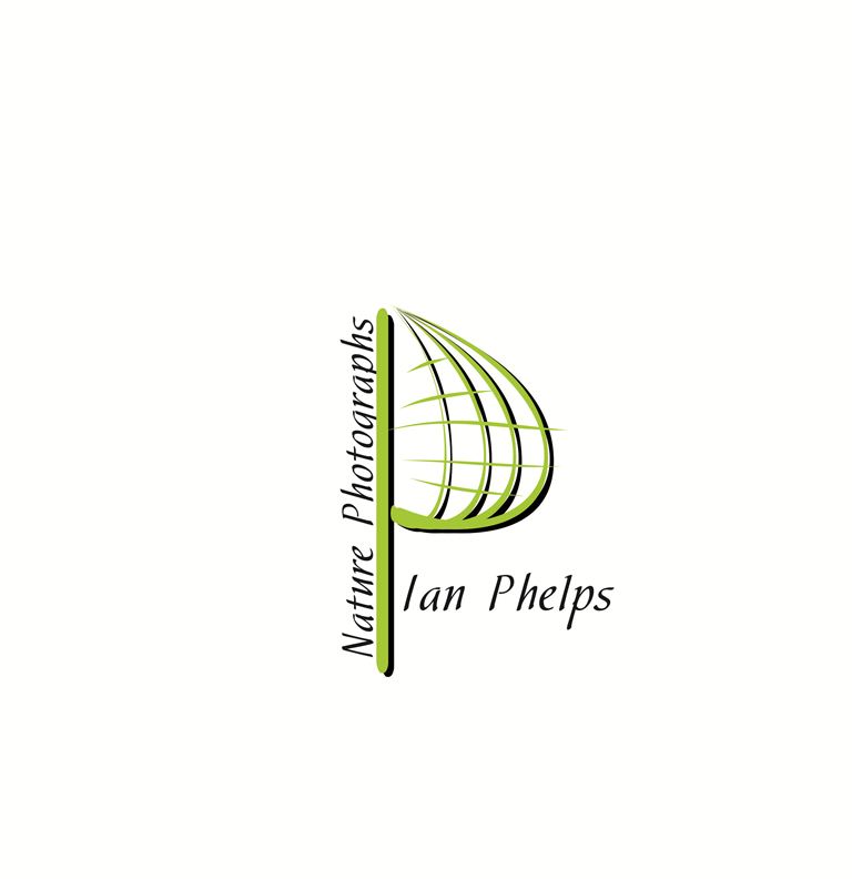 Logo Design by Despe for this project | Design #1447810