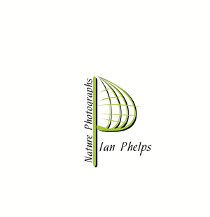 Logo Design by Despe for this project | Design: #1447810