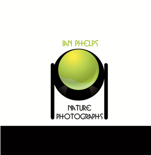 Logo Design by Despe for this project | Design: #1447814