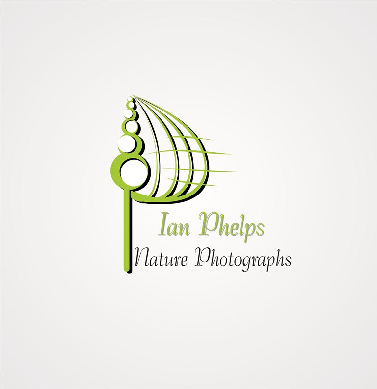 Logo Design by Despe for this project | Design #1448695