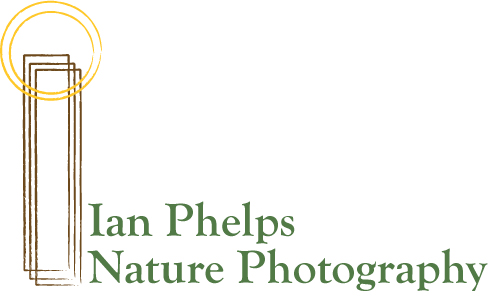 Design de Logo par SimplicityPrints pour ce projet | Design #1437075