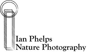 Logo Design by SimplicityPrints for this project | Design: #1437077