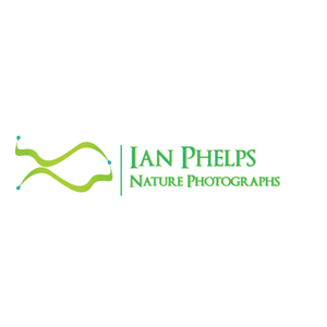 Logo Design by Michel Brazil Design