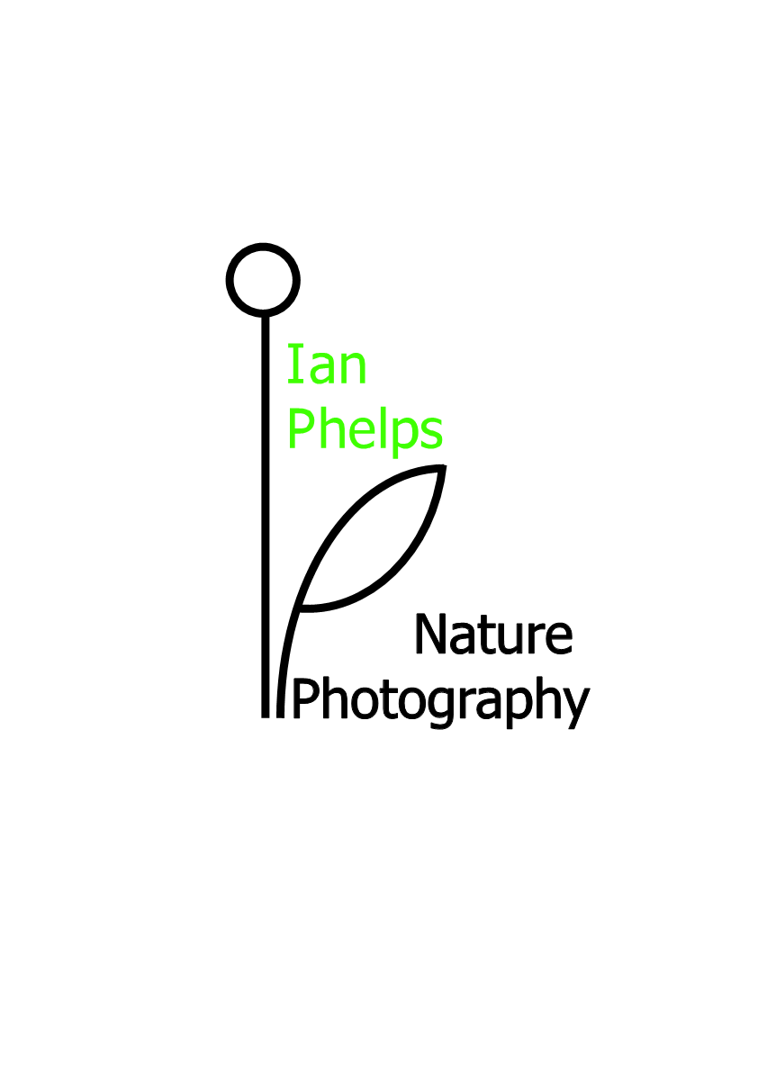 Logo Design by Steven Hine for this project | Design #1436783