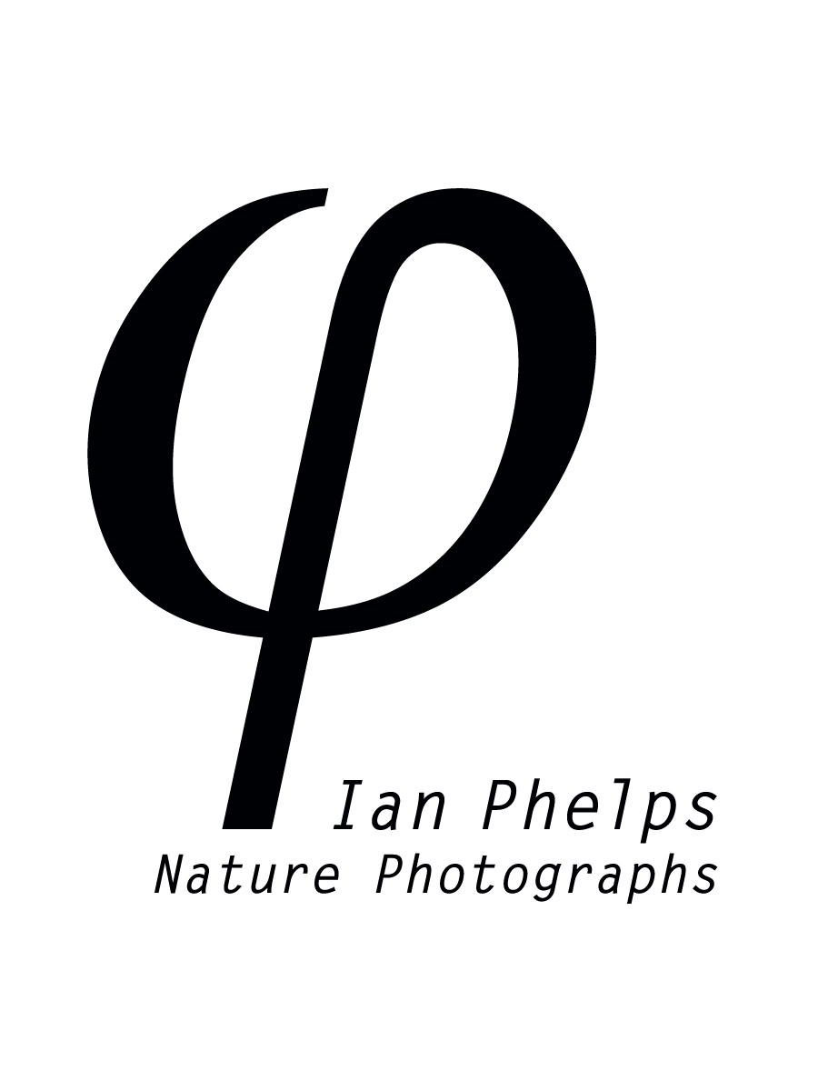 Design de Logo par Steven Hine pour ce projet | Design #1471367