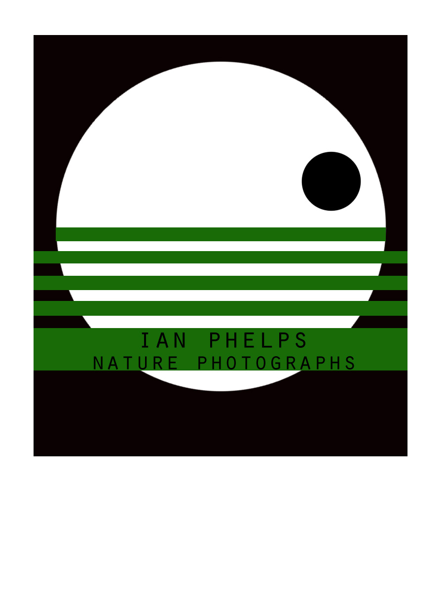 Logo Design by Maliarts for this project | Design #1446179