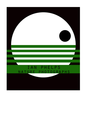 Logo Design by Maliarts