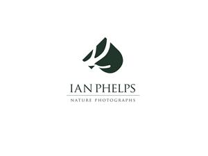 Logo Design by Saborlatino
