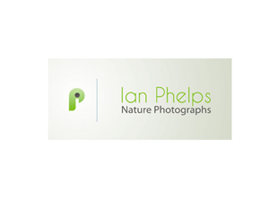 Logo Design by srijantram