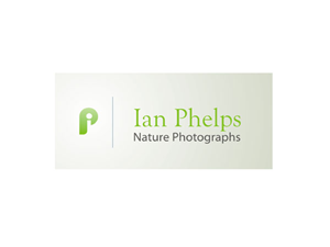 Logo Design by srijantram for this project | Design: #1457938