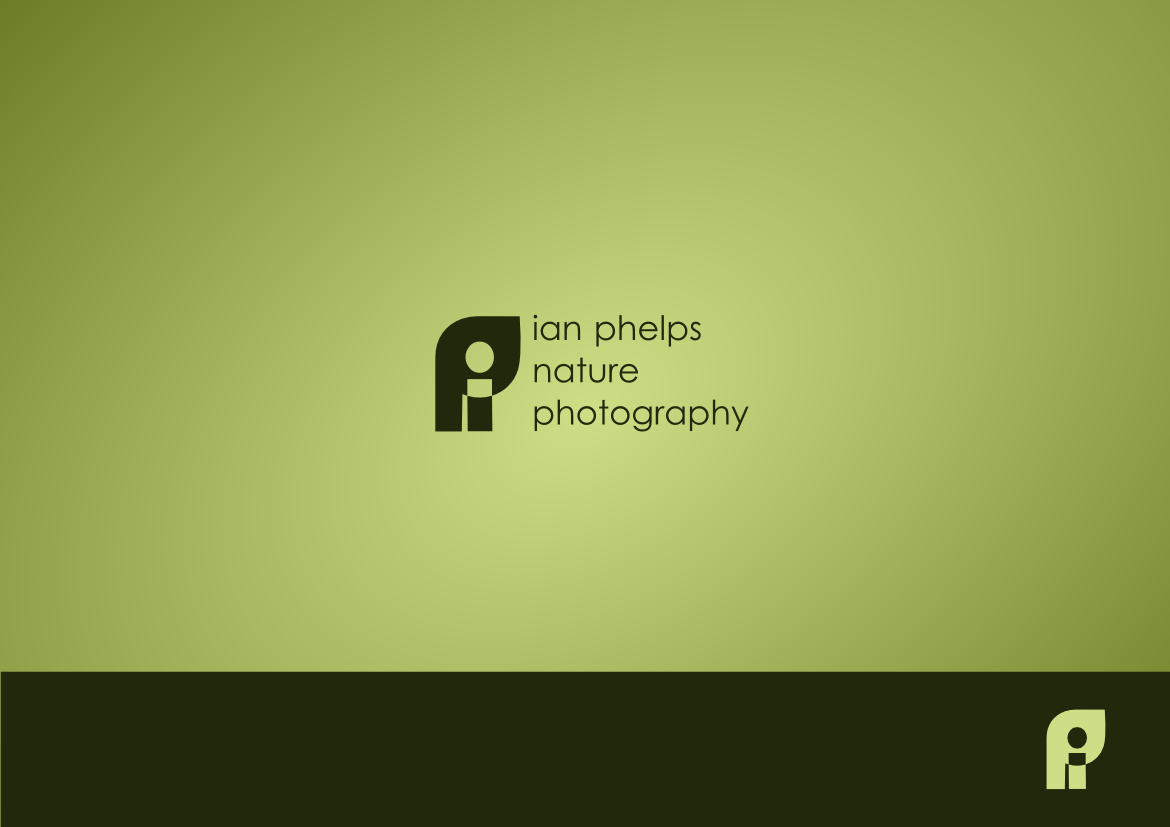 Logo Design by Mirela78 for this project | Design #1432995