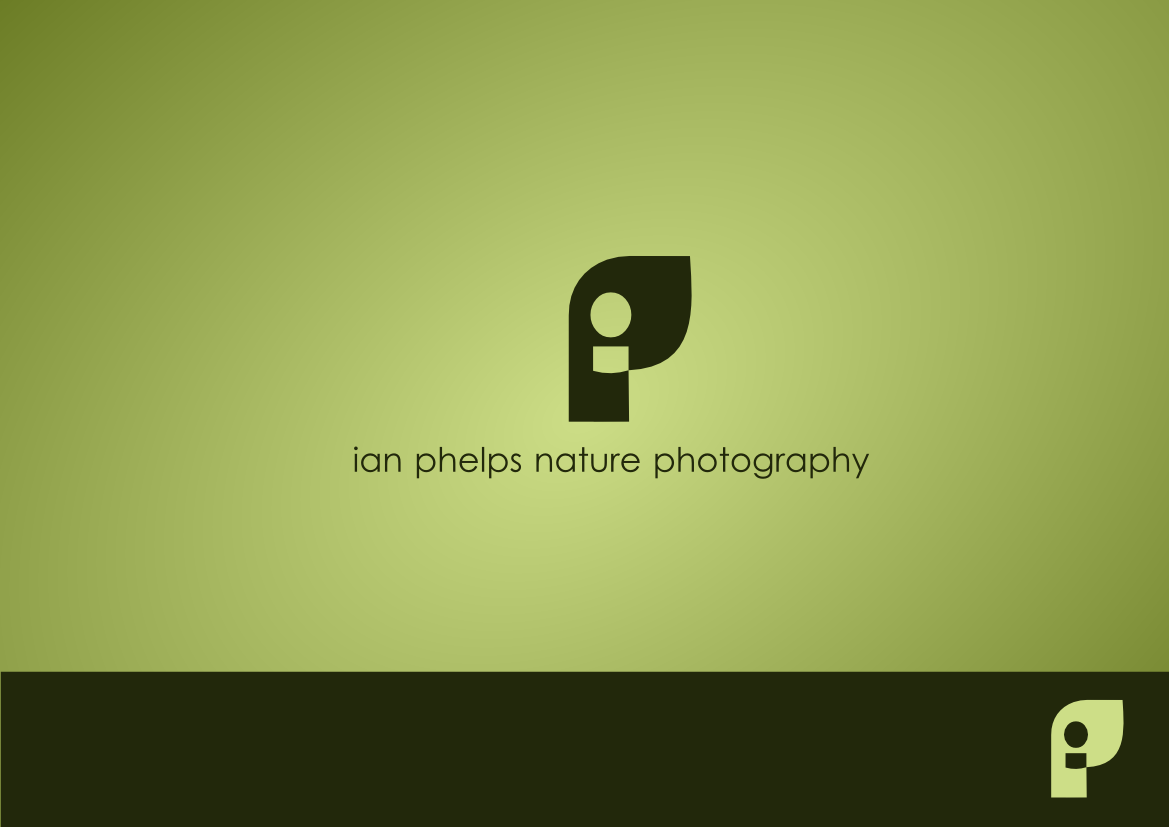 Logo Design by Mirela78 for this project | Design #1433053