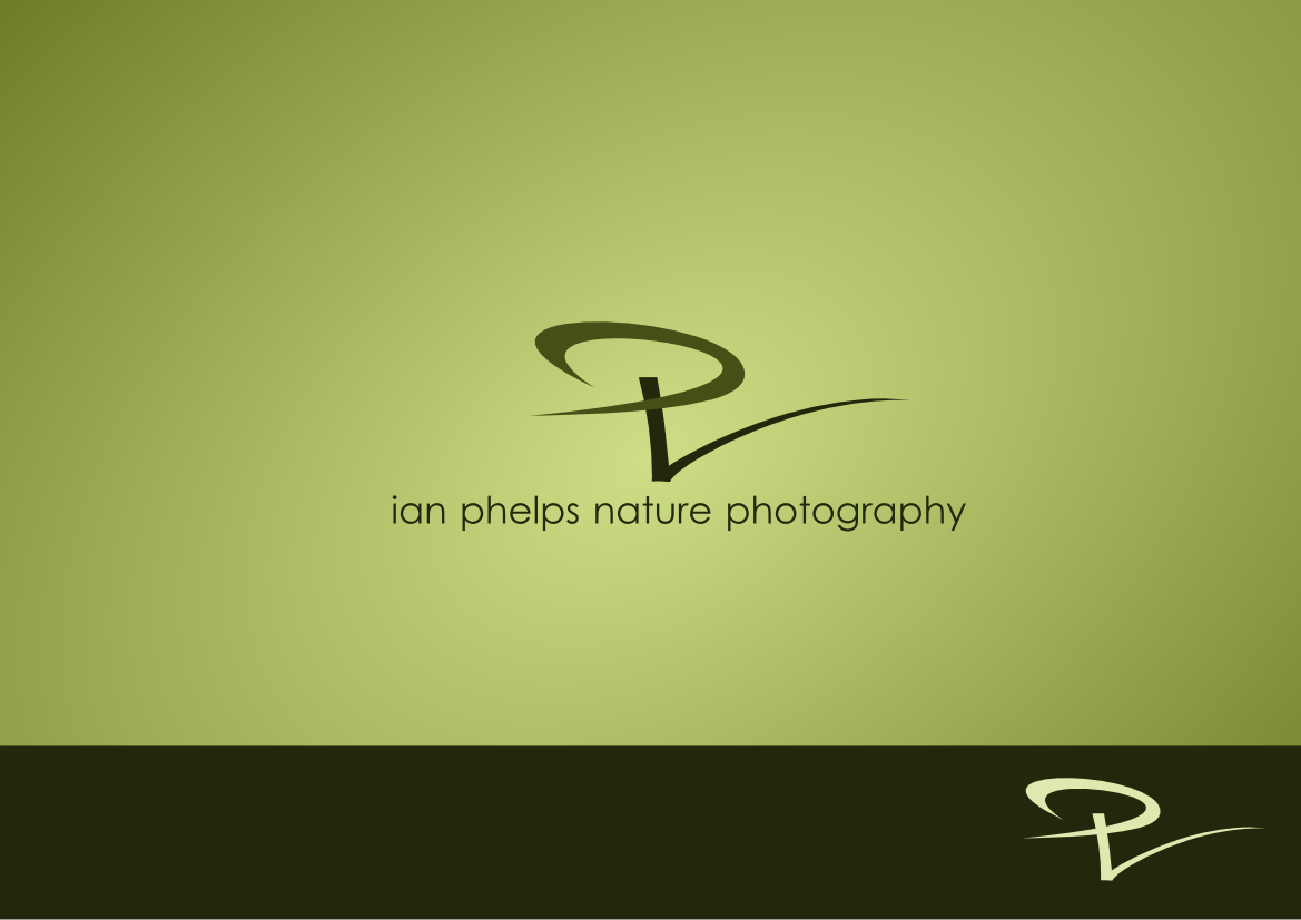 Logo Design by Mirela78 for this project | Design #1433523