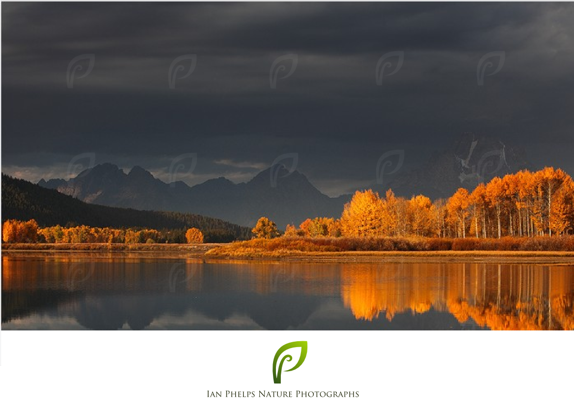 Logo Design by Mirela78 for this project | Design #1472511