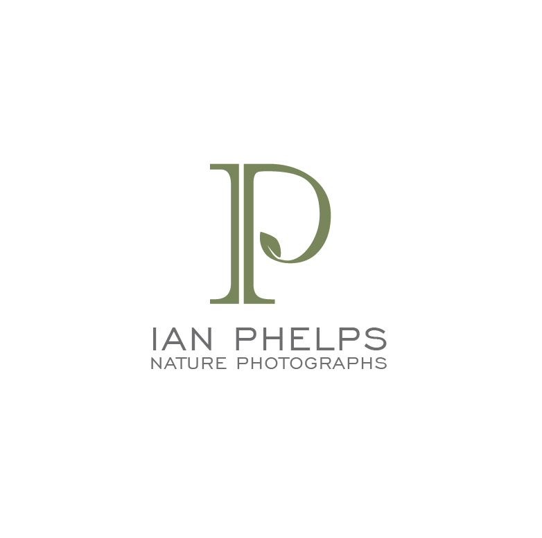 Logo Design by Design Possibilities for this project | Design #1459418
