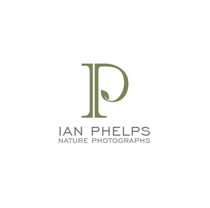 Design de Logo par Design Possibilities pour ce projet | Design : #1459418