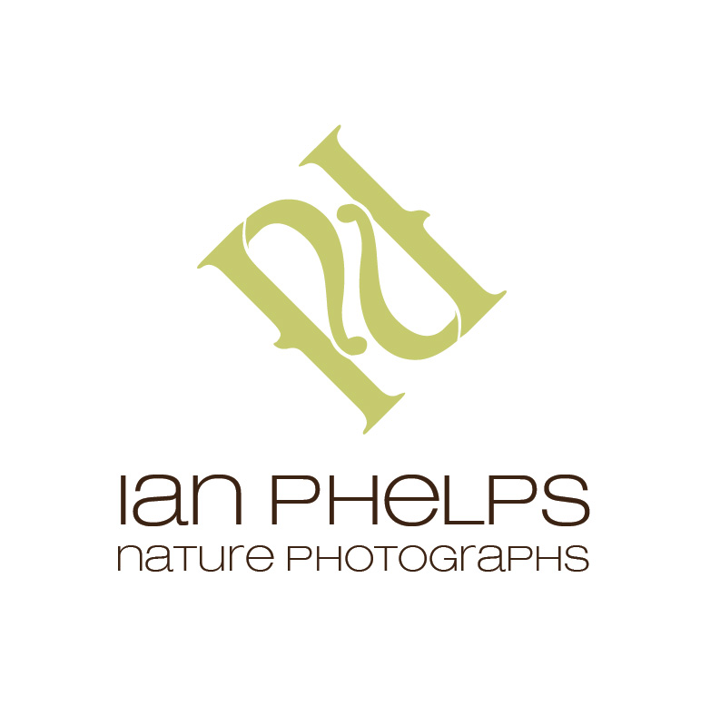 Logo Design by Design Possibilities for this project | Design #1459455