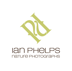Design de Logo par Design Possibilities pour ce projet | Design : #1459455