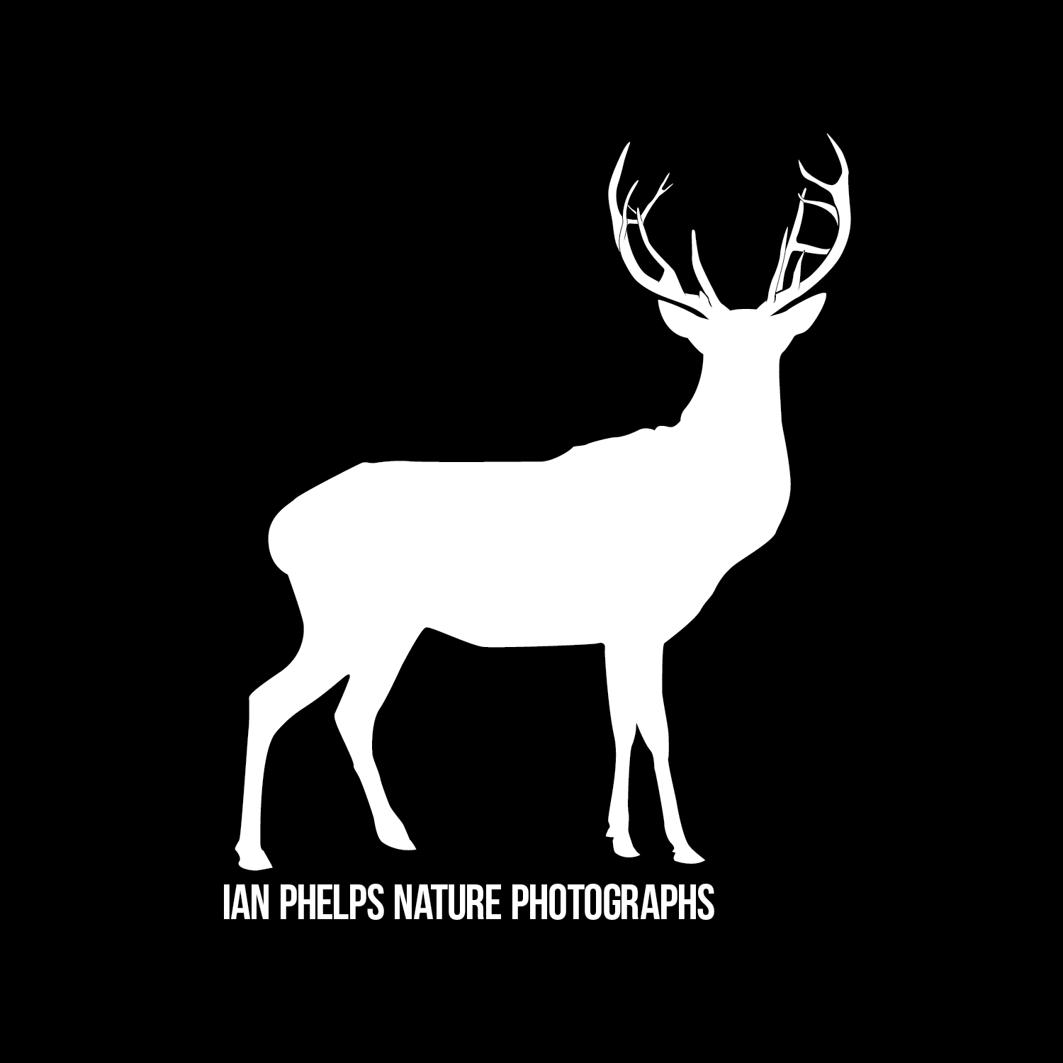 Logo Design by AlexYorkDesigns for this project | Design #1434154