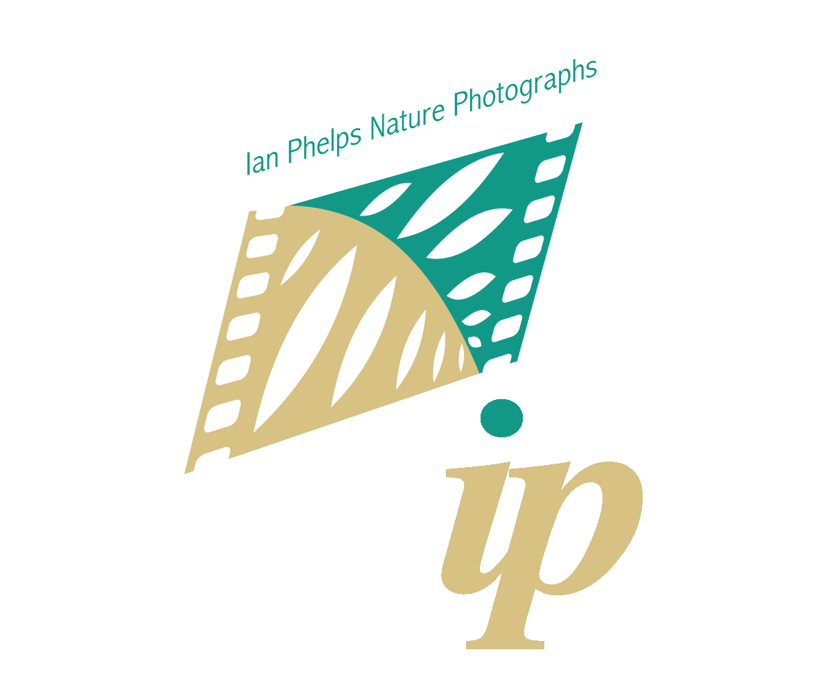 Logo Design by WholeBranding® for this project | Design #1427375