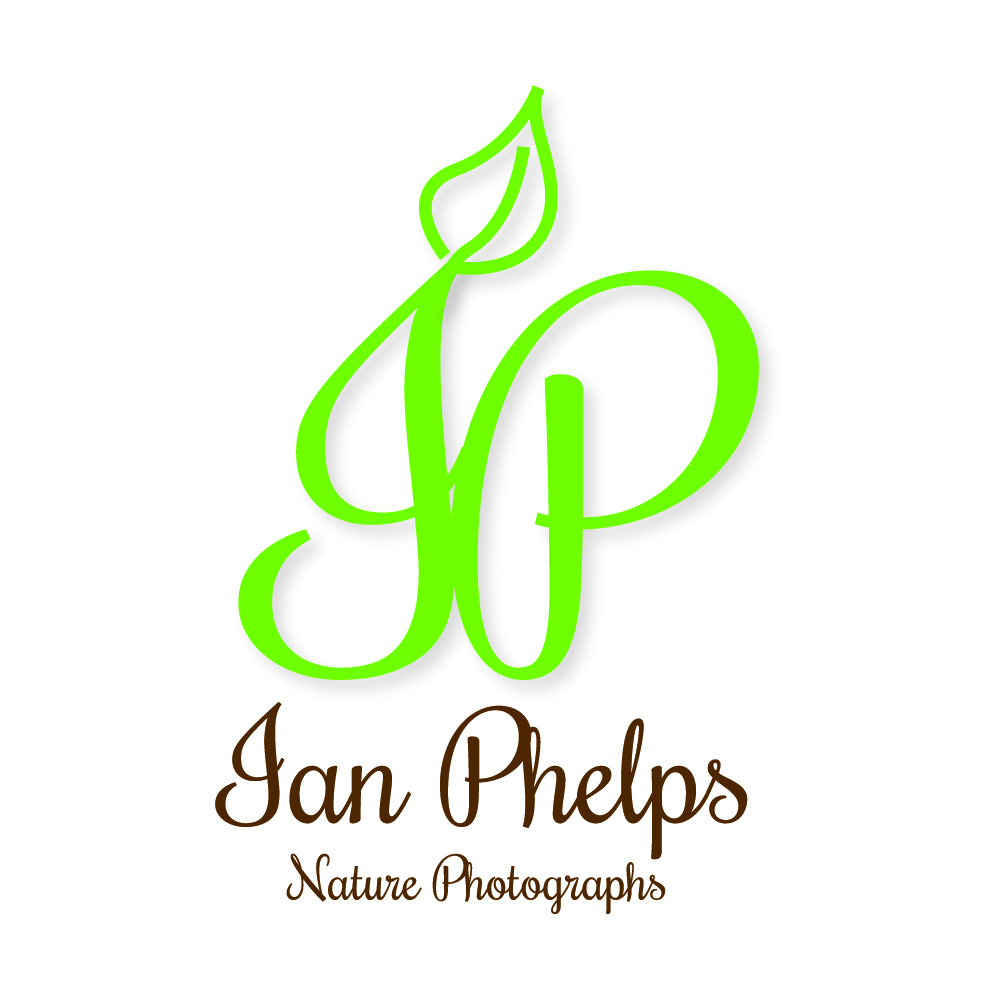 Logo Design by Phil B for this project | Design #1457099