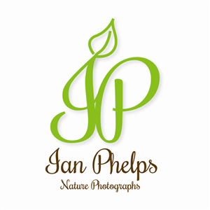 Logo Design by Phil B