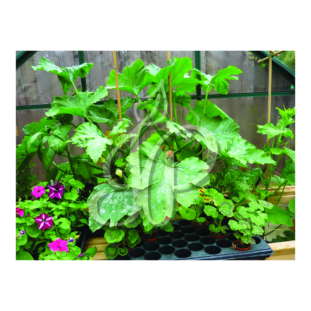 Logo Design by Phil B for this project | Design #1457104