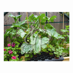 Logo-Design von Phil B für dieses Projekt | Design: #1457104