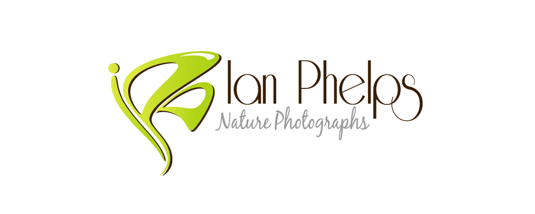 Logo-Design von PHDesign für dieses Projekt | Design #1434145