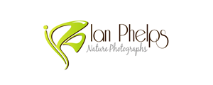 Logo Design by PHDesign