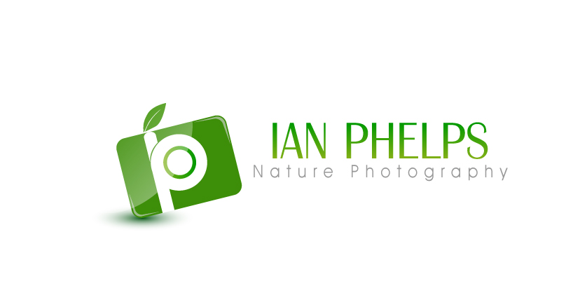 Logo Design by PHDesign for this project | Design #1435032