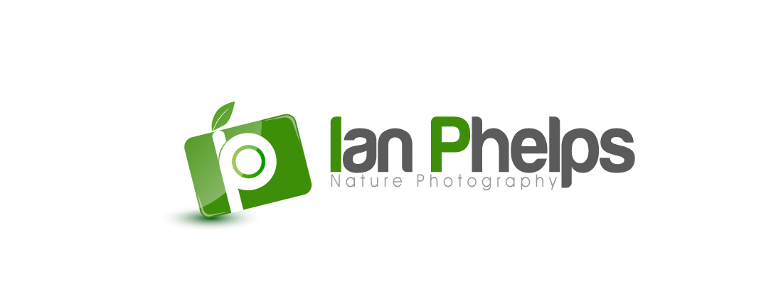 Logo Design by PHDesign for this project | Design #1435034