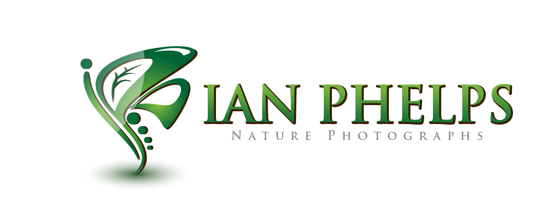 Logo Design by PHDesign for this project | Design #1438281