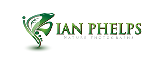 Diseño de Logo por PHDesign para este proyecto | Diseño: #1438281