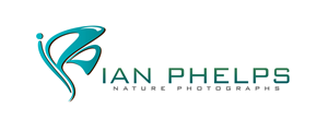 Diseño de Logo por PHDesign para este proyecto | Diseño: #1441976