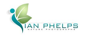 Diseño de Logo por PHDesign para este proyecto | Diseño: #1442362