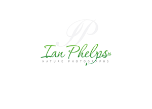 Logo Design by kisnash