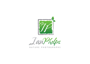 Diseño de Logo por kisnash para este proyecto | Diseño: #1444453