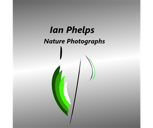 Logo Design by Snow for this project | Design: #1440250