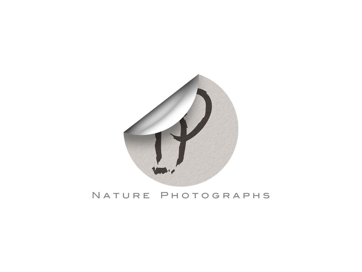 Logo Design by Mike Chawner for this project | Design #1433590